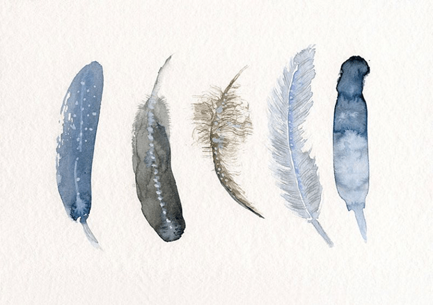 feathers-blue.png
